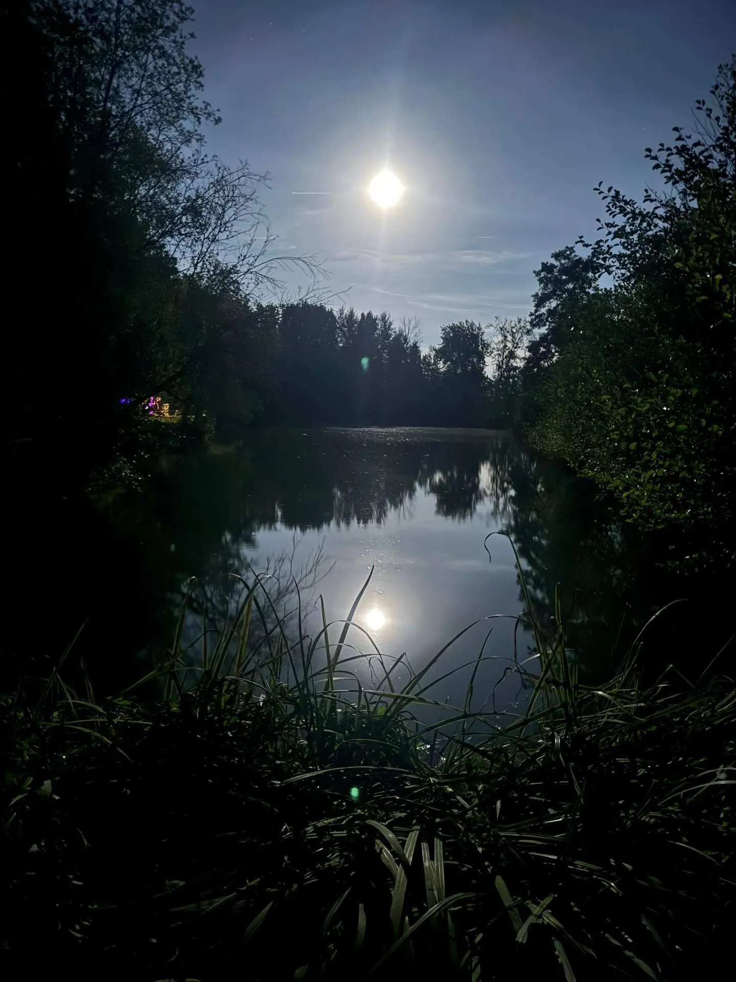 La lune au-dessus de l’étang entre les arbres