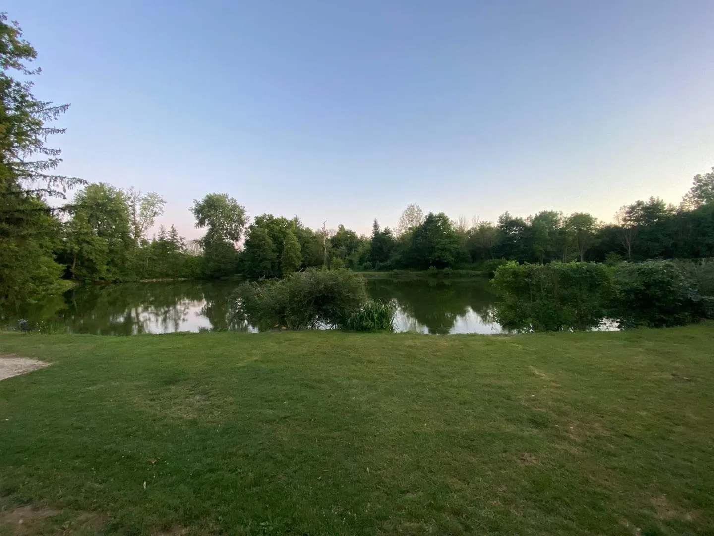 La prairie et l’étang vus depuis la cabane